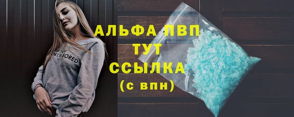 спиды Аркадак