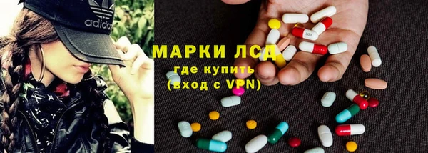 спиды Аркадак