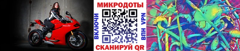 Псилоцибиновые грибы Psilocybine cubensis  Купить где  Сатка 